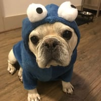 Cash - Halloween