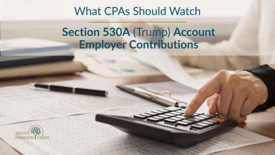 530A Account Employer Contributions What CPAs Should Watch