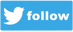 Twitter-follow-button