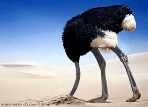 ostrich