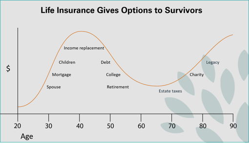 life insurance gives options to survivors