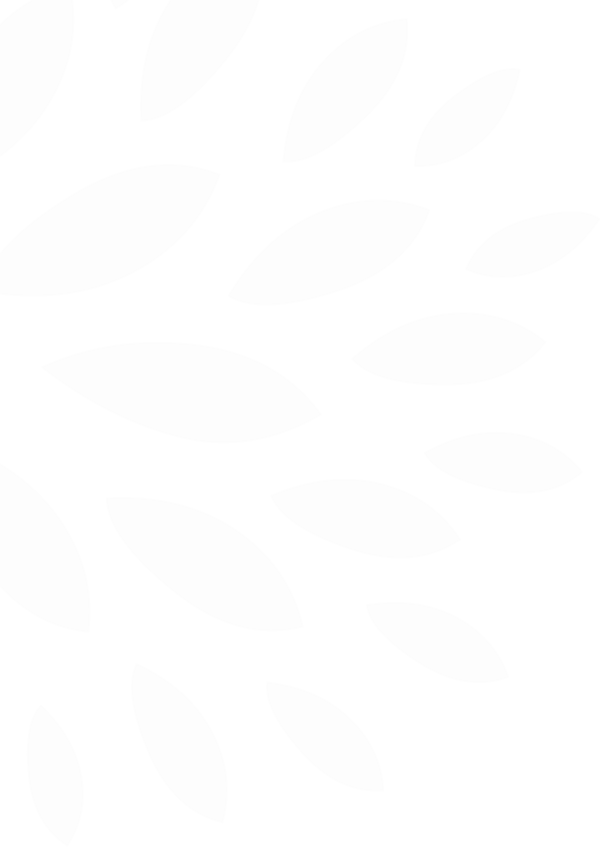 HomeHeroPattern-1